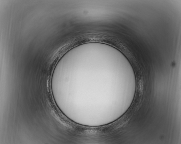 X0000116280733200911301040