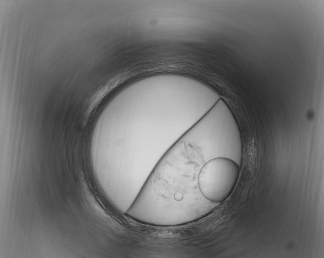 X0000116280734200911301040