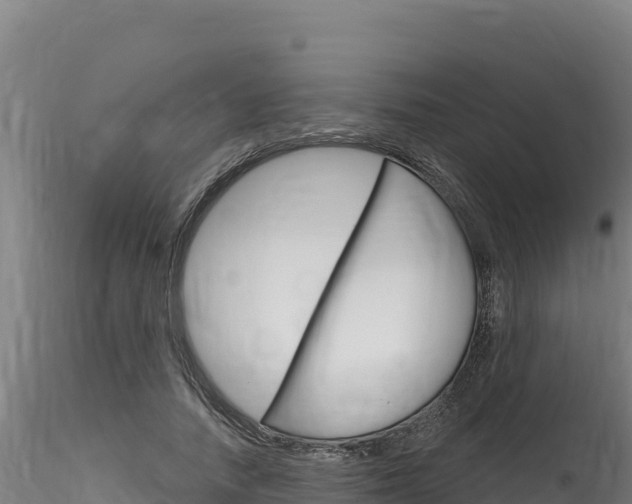 X0000116280738200911301040