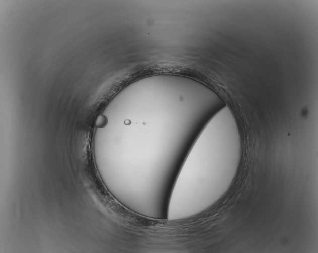 X0000116280742200911301040