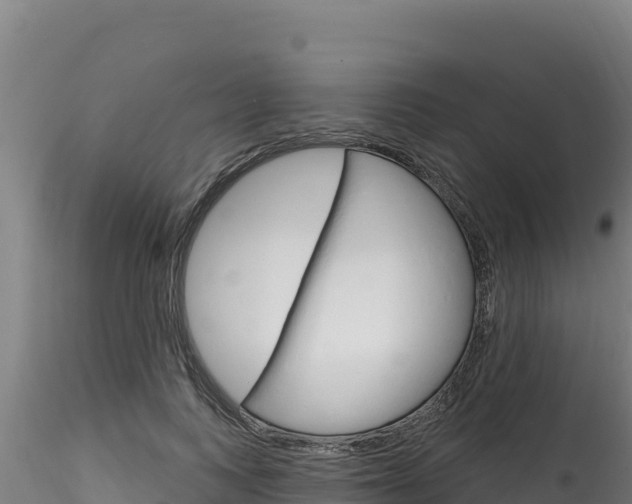 X0000116280743200911301040