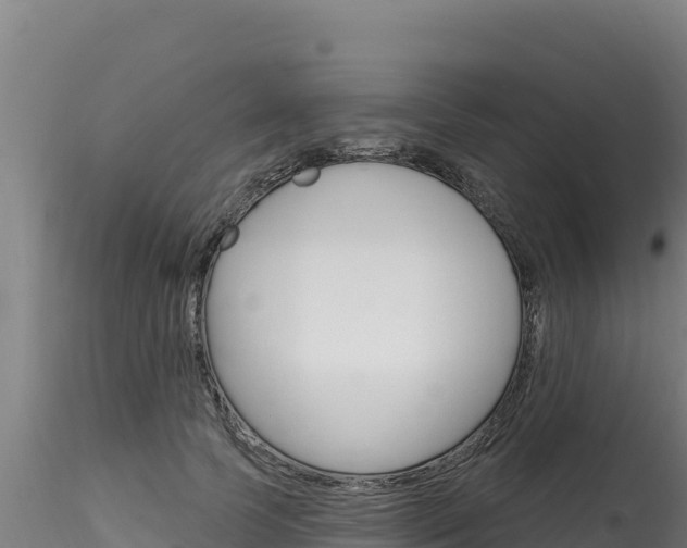 X0000116280745200911301040