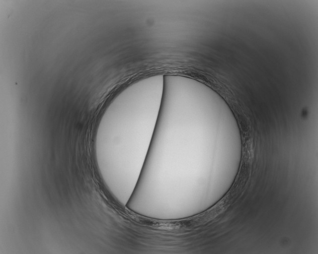 X0000116280746200911301040