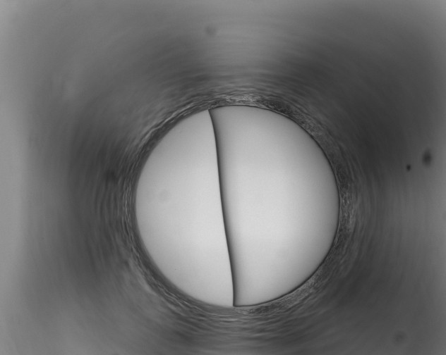 X0000116280747200911301040