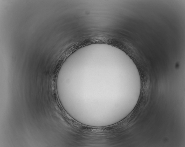 X0000116280749200911301040