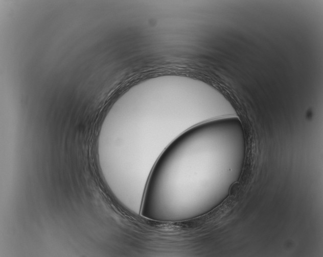 X0000116280750200911301040