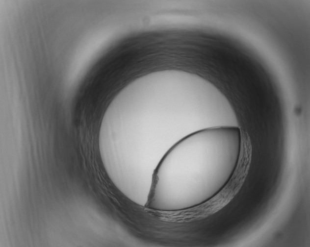 X0000116280766200911301041