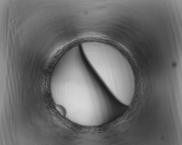 X0000116280775200911301040