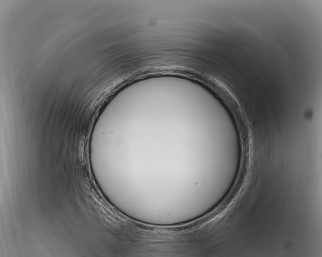 X0000116280777200911301040