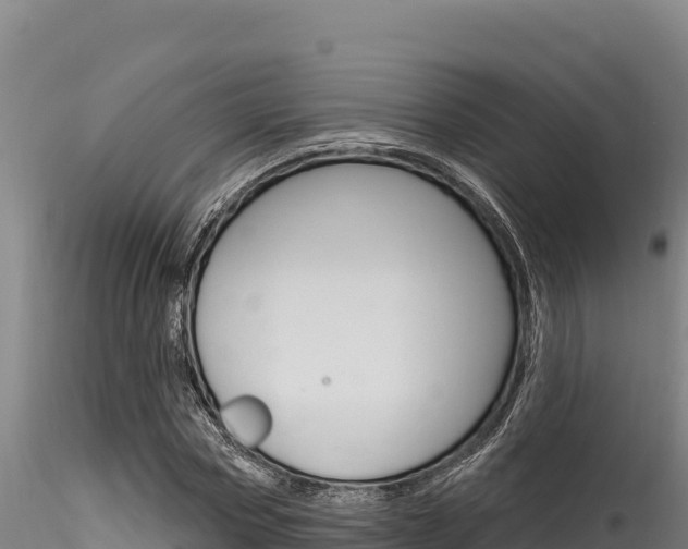 X0000116280778200911301040