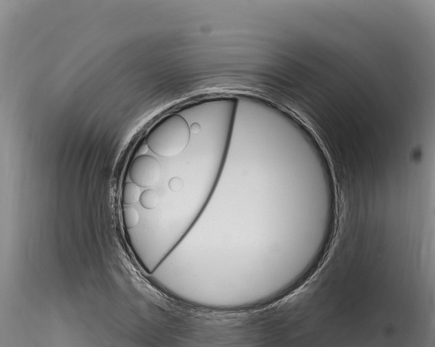 X0000116280779200911301040