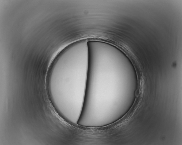 X0000116280780200911301040