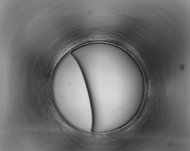 X0000116280786200911301040