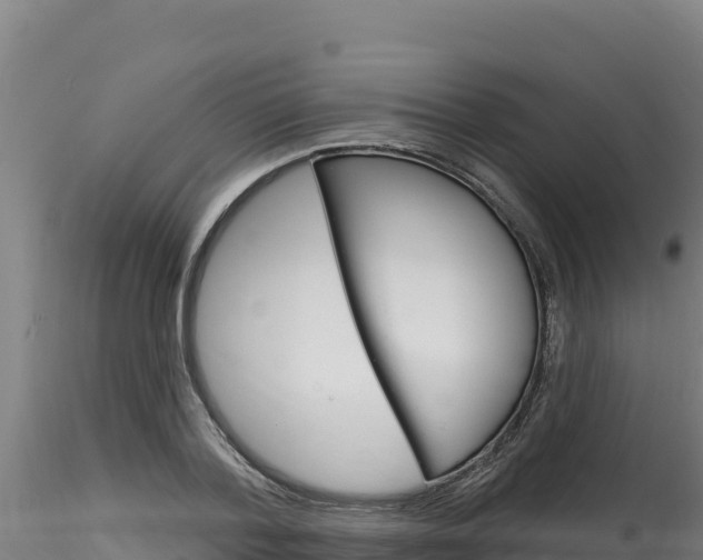 X0000116280788200911301040