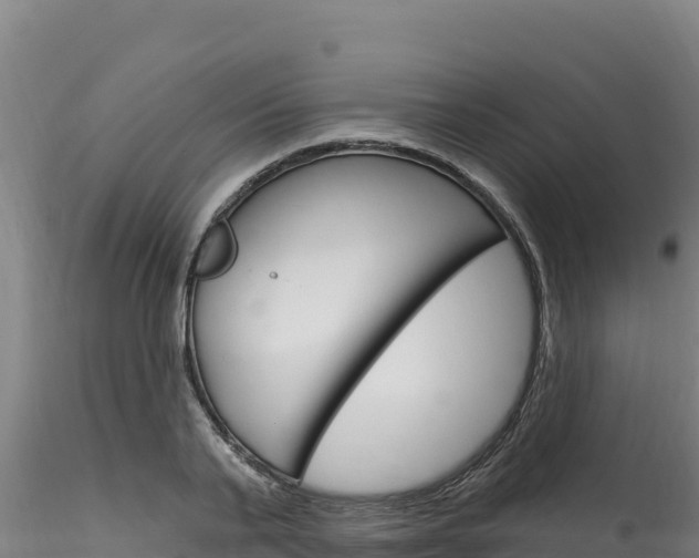 X0000116280791200911301040