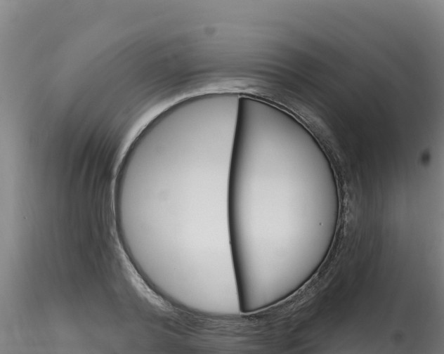 X0000116280792200911301040