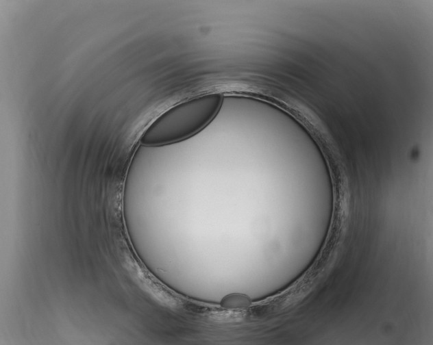 X0000116280793200911301040