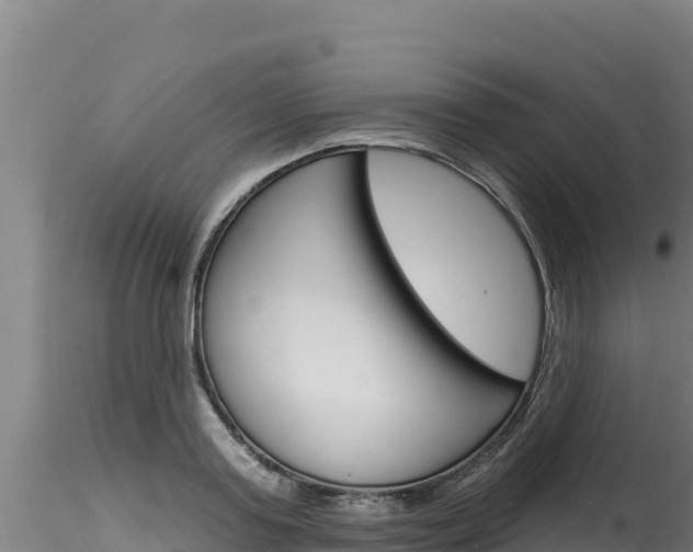 X0000116280795200911301040