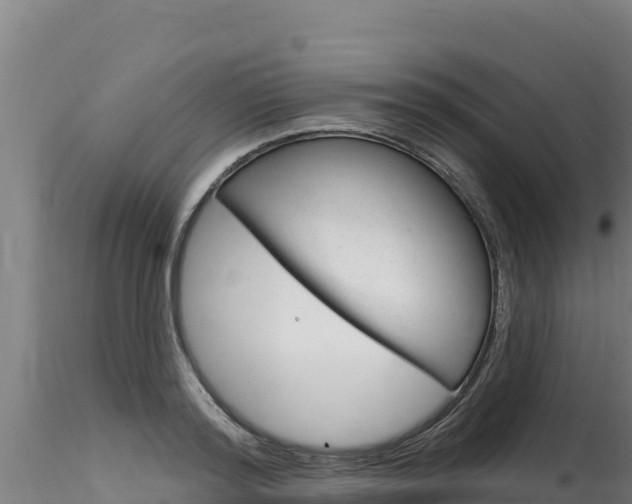 X0000116280796200911301040