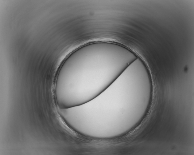 X0000116280797200911301040