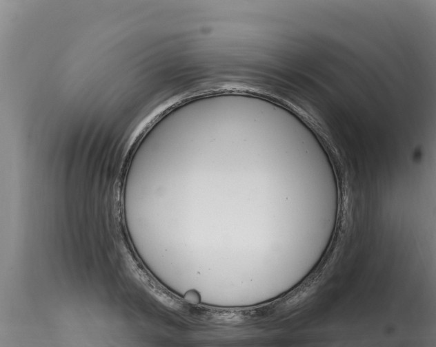 X0000116280798200911301040