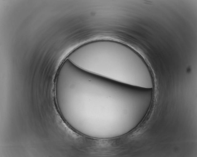 X0000116280799200911301040