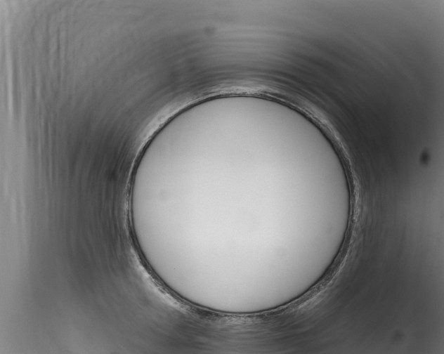 X0000116280802200911301039