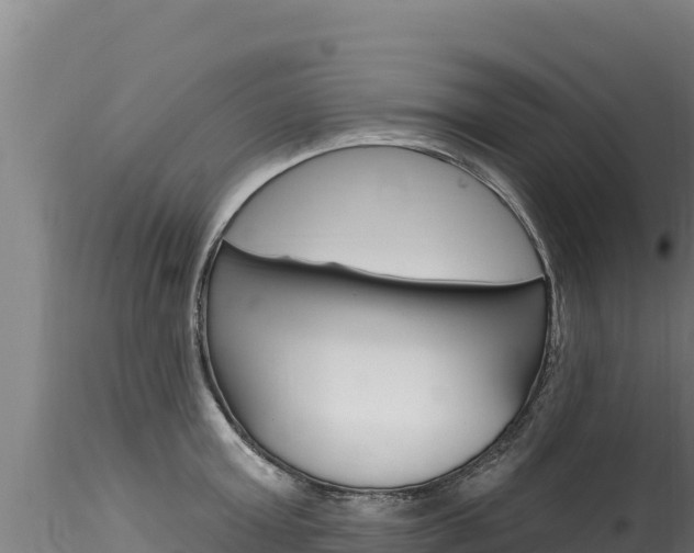 X0000116280803200911301039