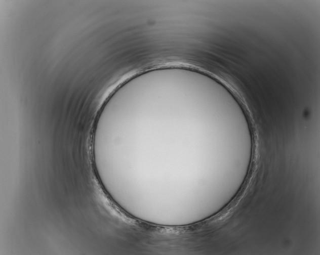 X0000116280806200911301039
