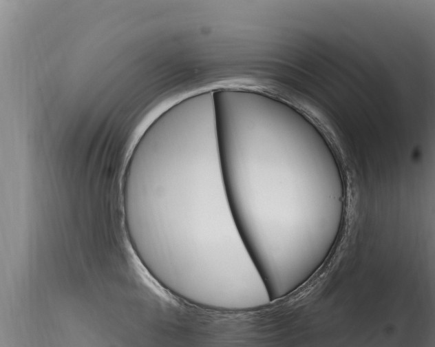 X0000116280808200911301039