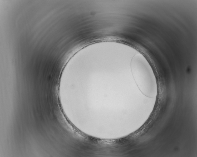 X0000116280810200911301039