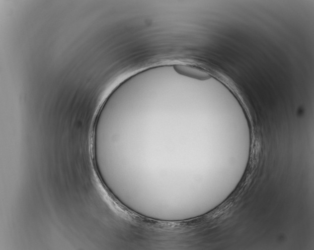 X0000116280811200911301039