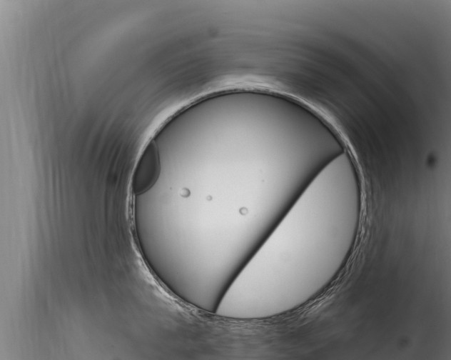 X0000116280815200911301039