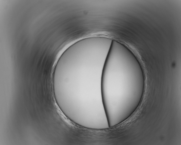 X0000116280816200911301039