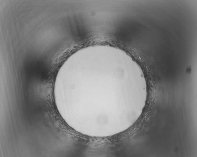 X0000116280824200911301039