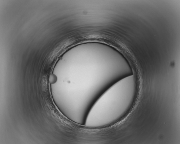 X0000116280825200911301039
