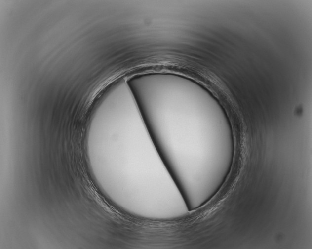 X0000116280826200911301039