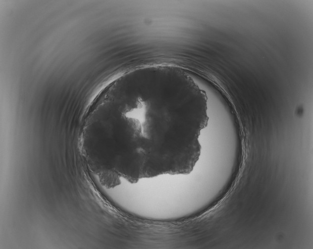 X0000116280827200911301039