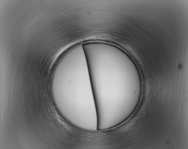 X0000116280830200911301039