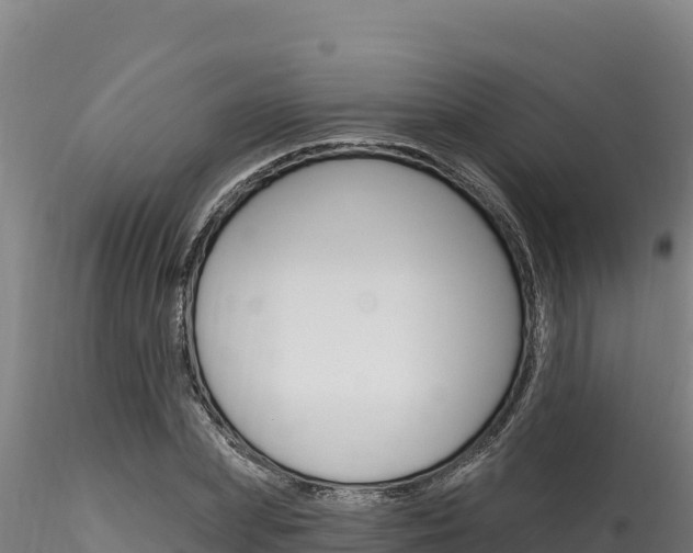 X0000116280831200911301039