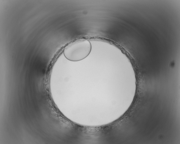 X0000116280832200911301039