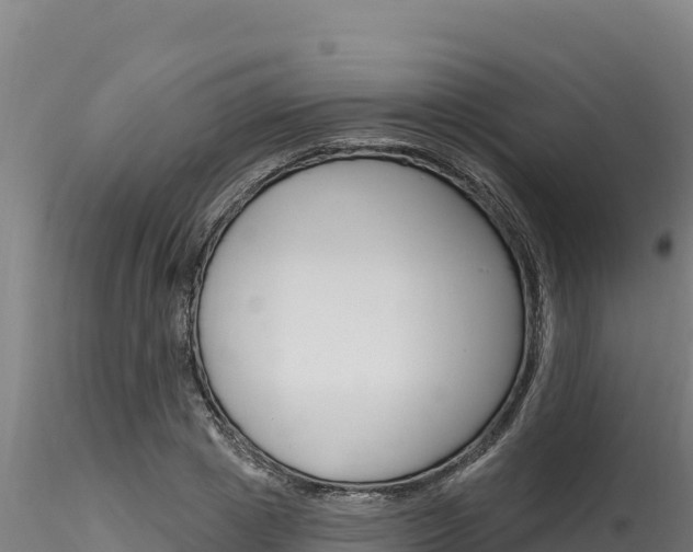 X0000116280833200911301039