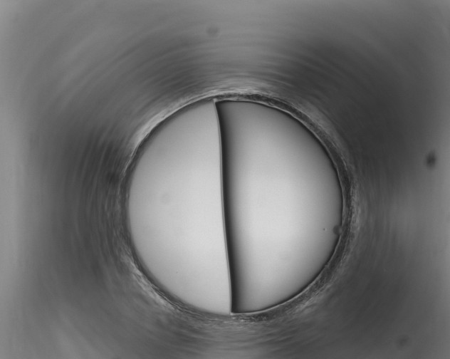 X0000116280834200911301039