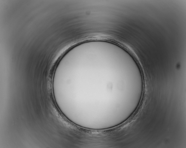 X0000116280835200911301039