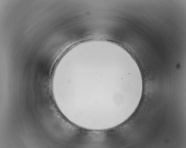 X0000116280836200911301039