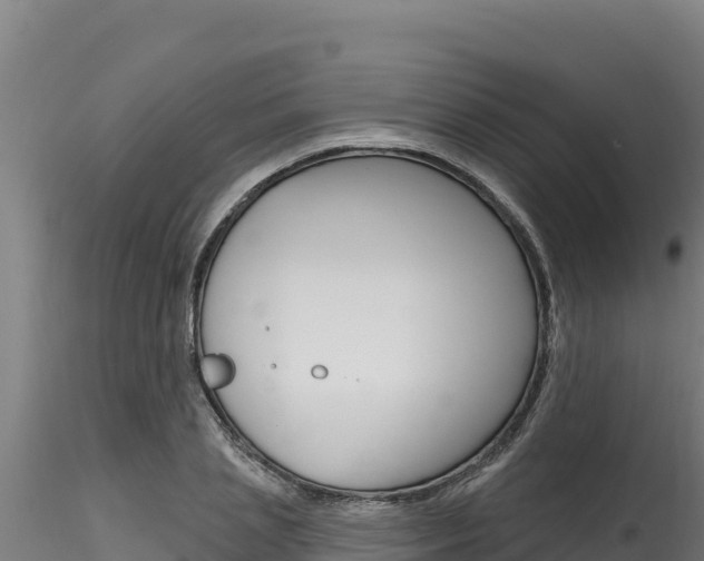 X0000116280837200911301039