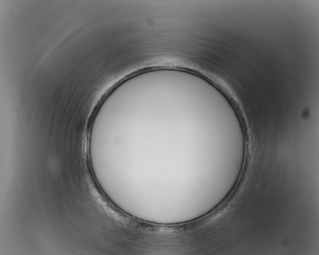 X0000116280839200911301039