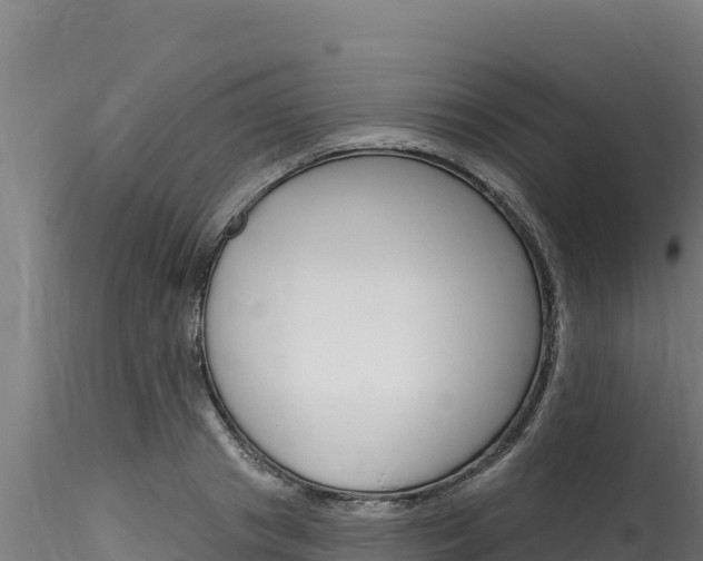 X0000116280841200911301039