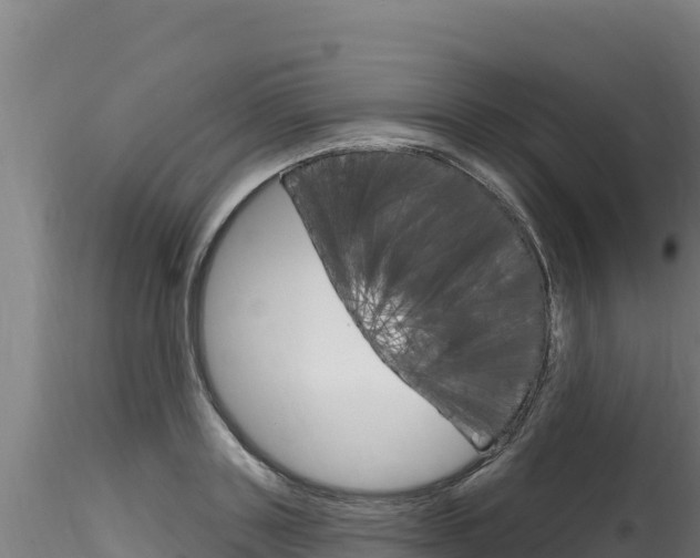 X0000116280843200911301039