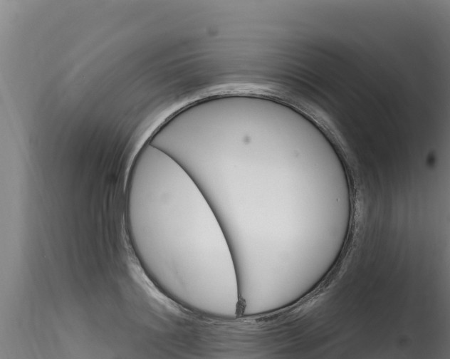 X0000116280844200911301039